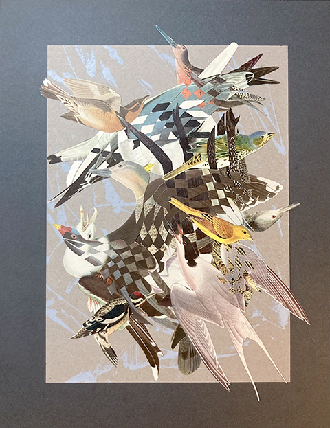 BirdCrash