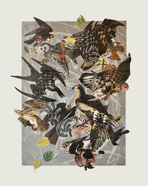 Birdcrash