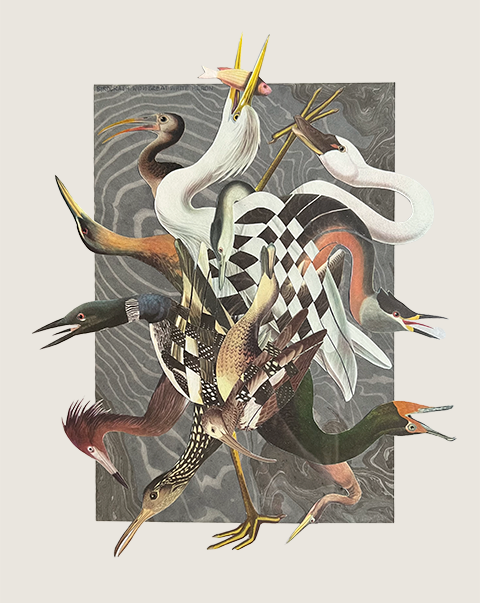 Birdcrash