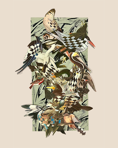 Birdcrash