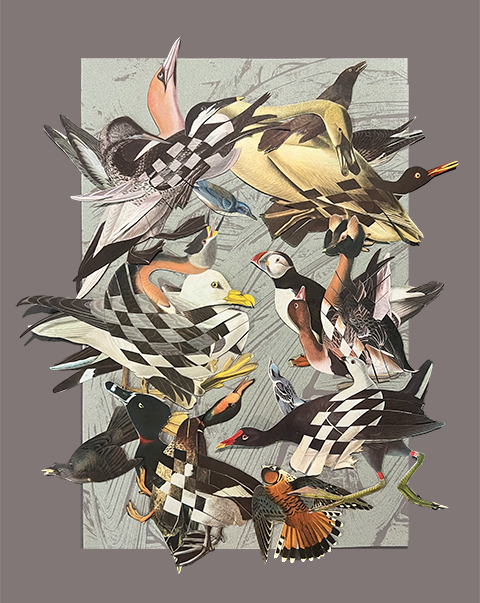 Birdcrash