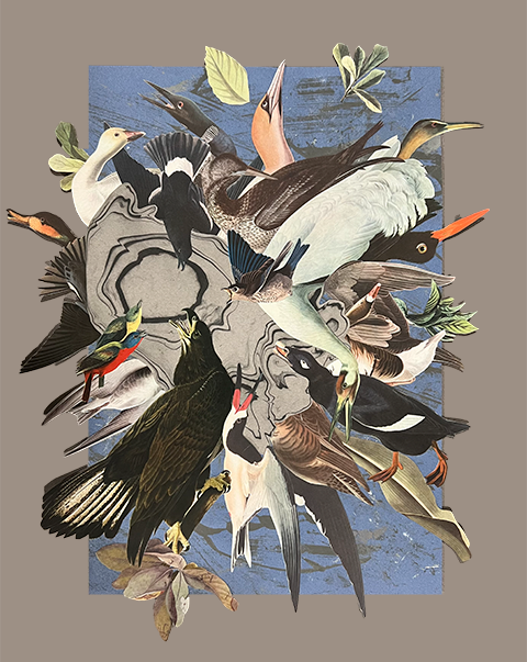 Birdcrash
