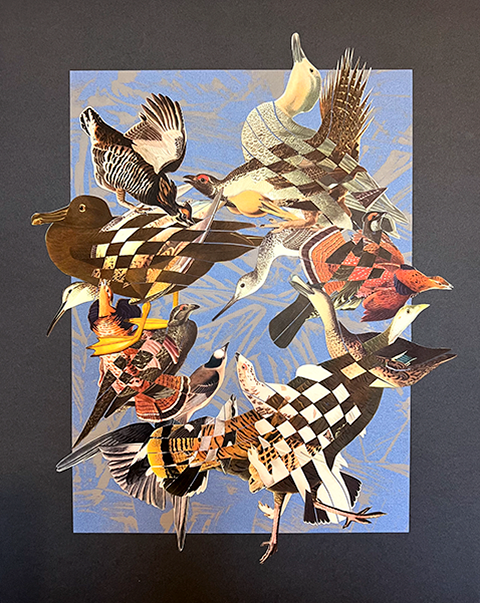 Birdcrash