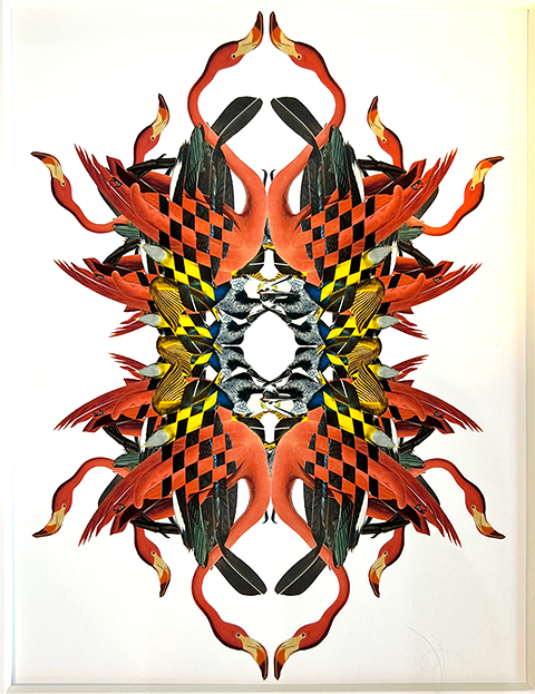 Bird Kaleidoscope