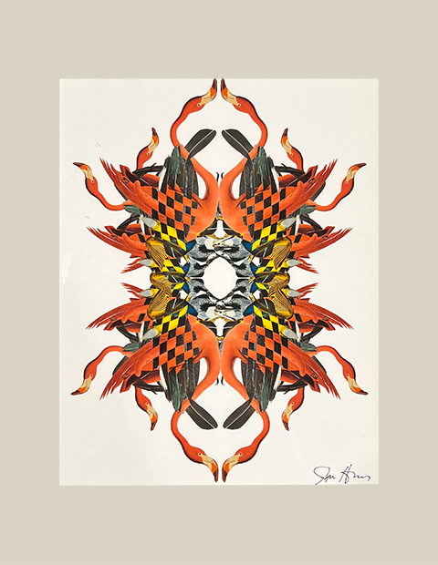 Bird Kaleidoscope