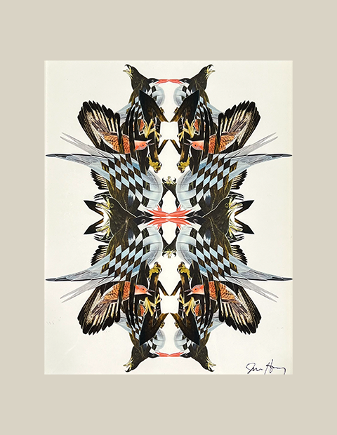 Bird Kaleidoscope