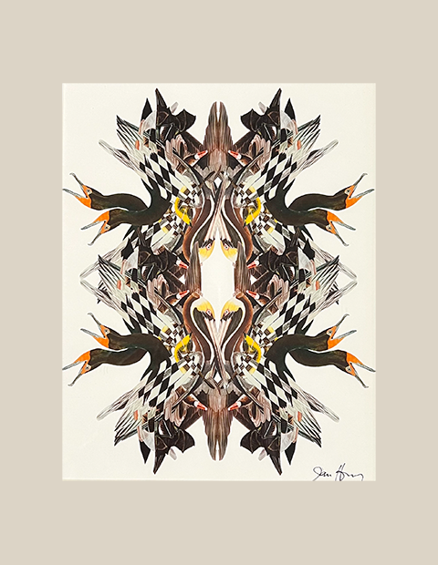 Bird Kaleidoscope