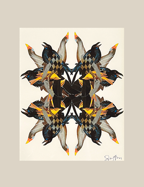 Bird Kaleidoscope