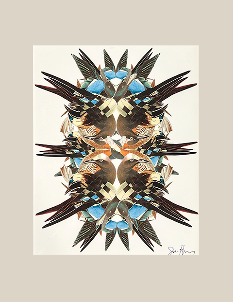 Bird Kaleidoscope