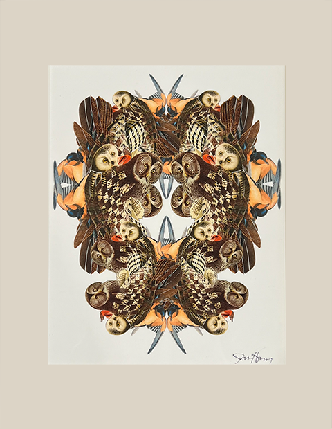 Bird Kaleidoscope