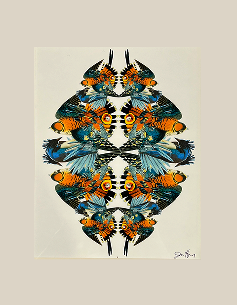Bird Kaleidoscope