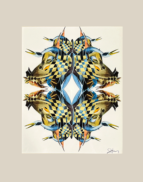 Bird Kaleidoscope