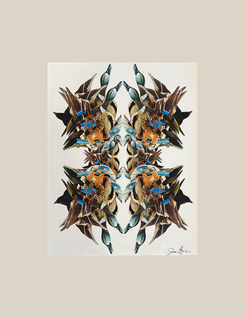 Bird Kaleidoscope